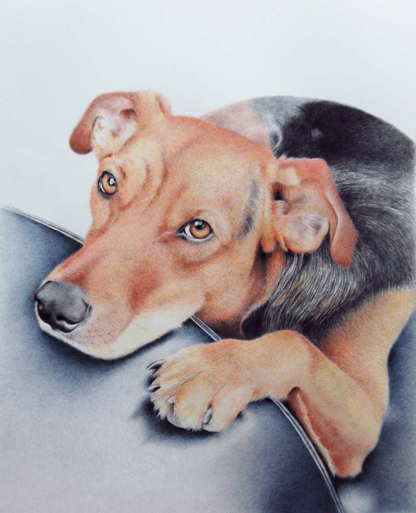 Meli